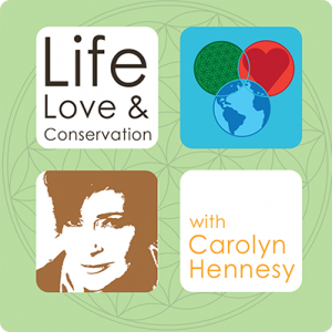 Life, Love and Conservation With Carolyn Hennesy